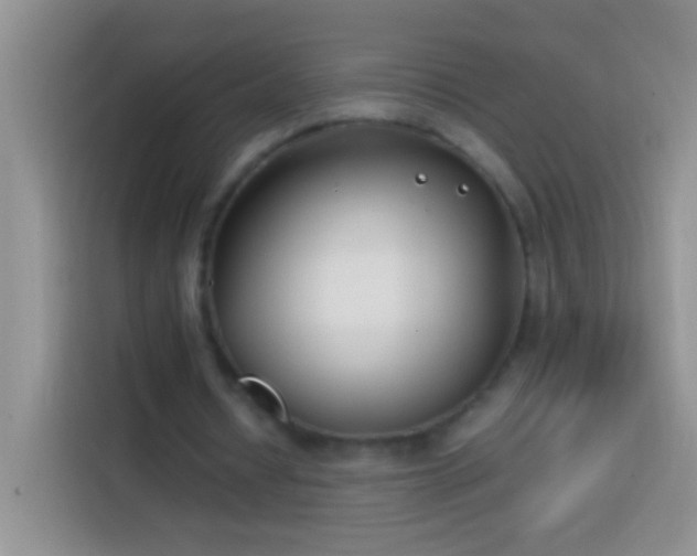 X0000113870434200910011115