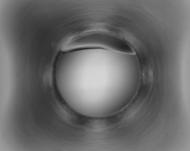 X0000113870436200910011115