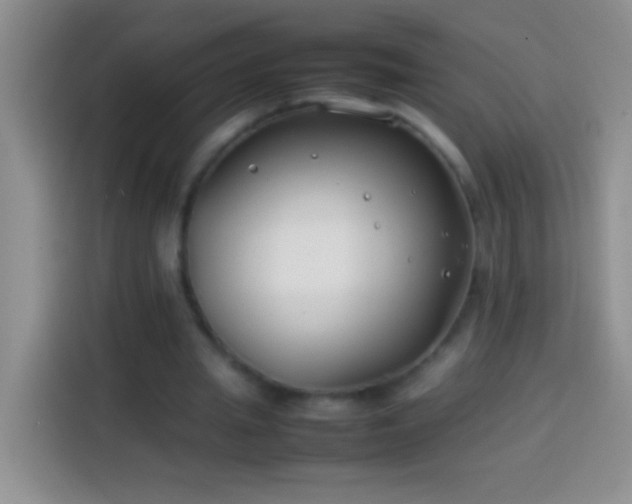 X0000113870437200910011115