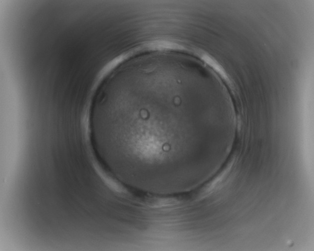 X0000113870438200910011115