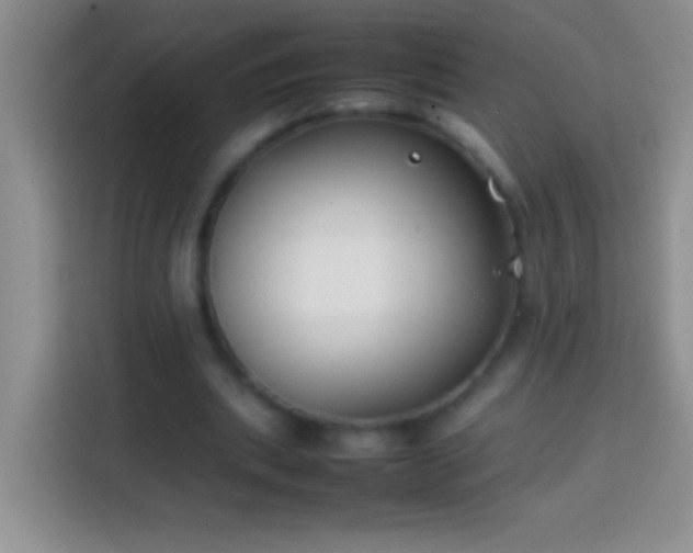 X0000113870439200910011115