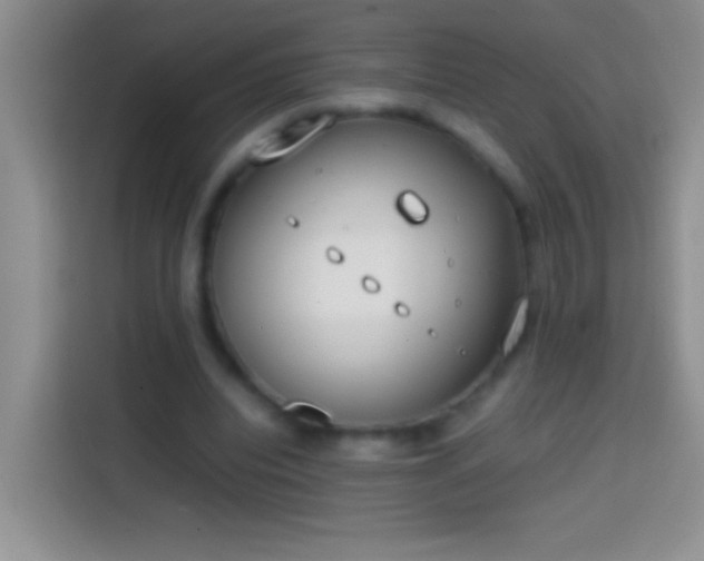 X0000113870440200910011115