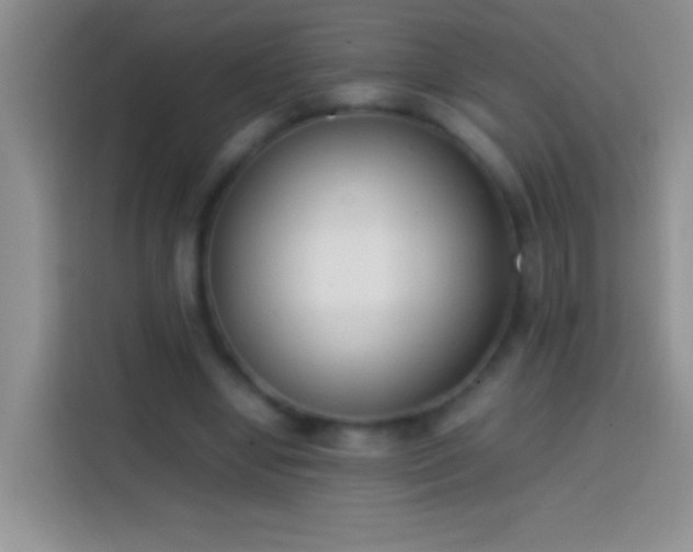 X0000113870442200910011115