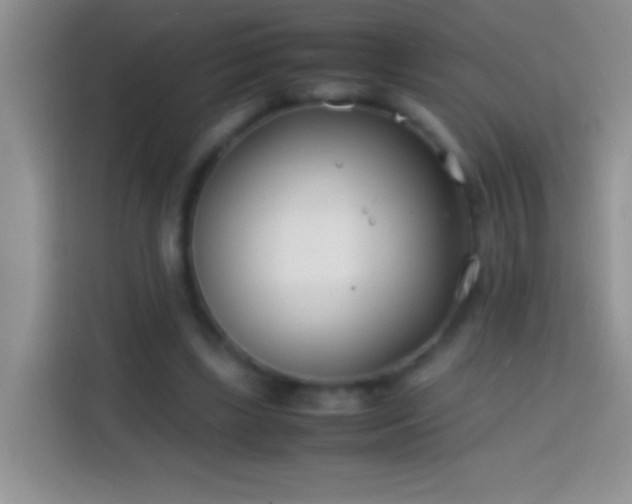 X0000113870443200910011115