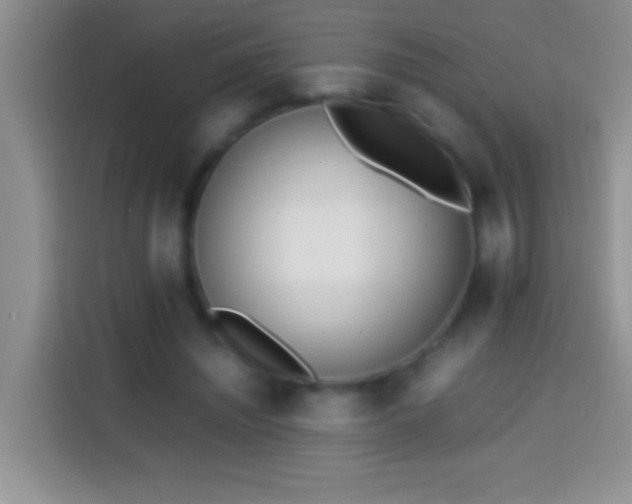 X0000113870444200910011115