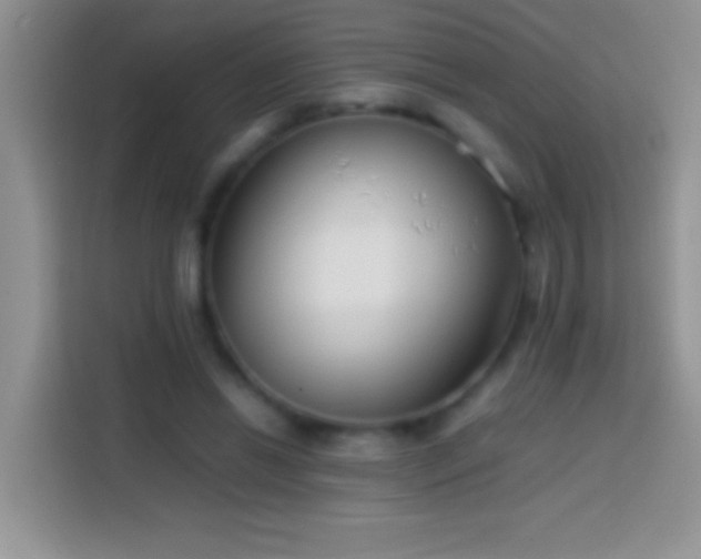 X0000113870446200910011115