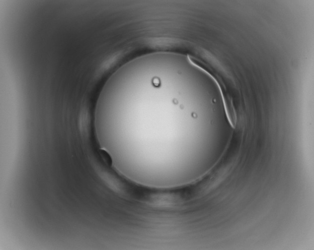 X0000113870448200910011115