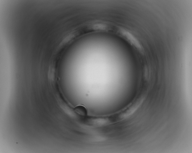 X0000113870449200910011115