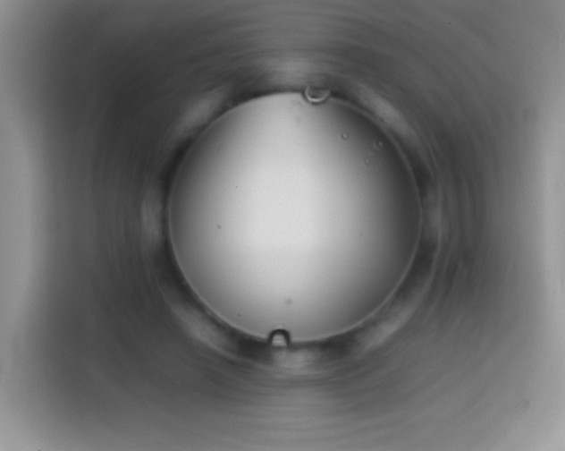 X0000113870450200910011115