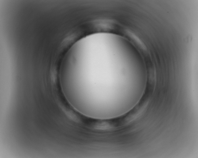 X0000113870451200910011115