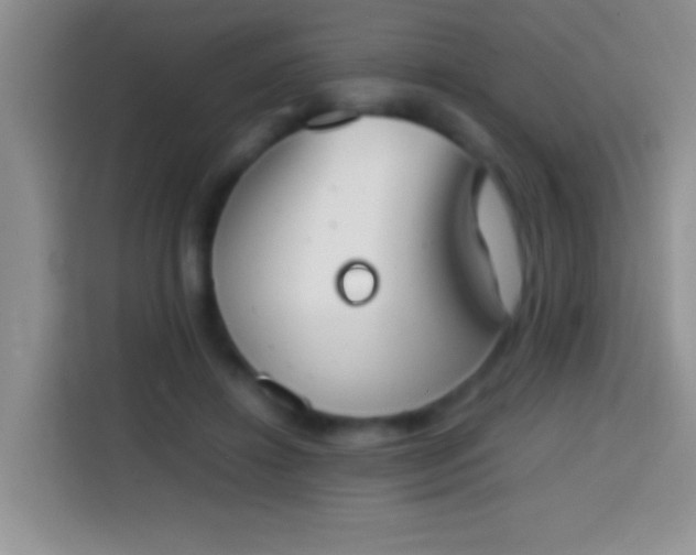 X0000113870452200910011115