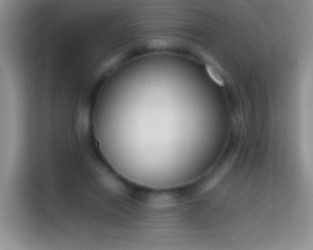 X0000113870454200910011116