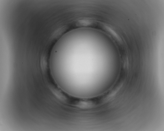 X0000113870455200910011116