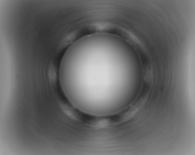 X0000113870456200910011116