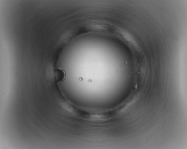 X0000113870457200910011116