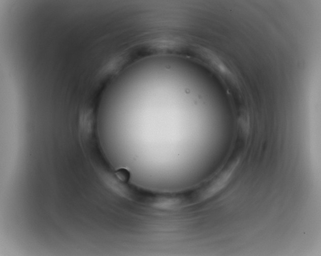 X0000113870458200910011116