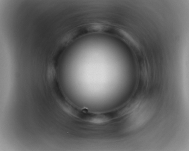 X0000113870459200910011116