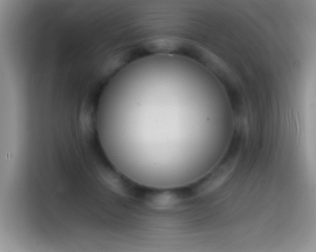 X0000113870460200910011116