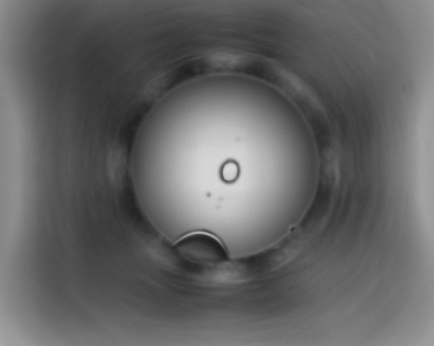 X0000113870463200910011116