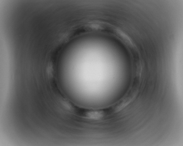 X0000113870465200910011116