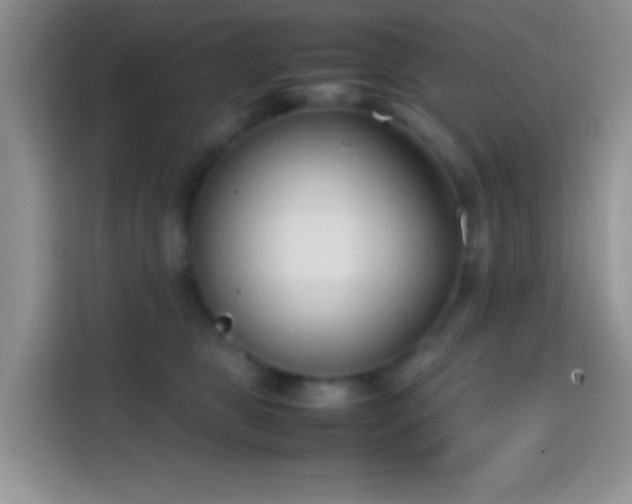 X0000113870469200910011116