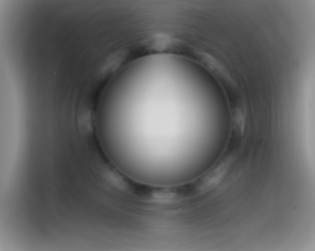 X0000113870470200910011116