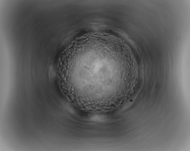 X0000113870471200910011116