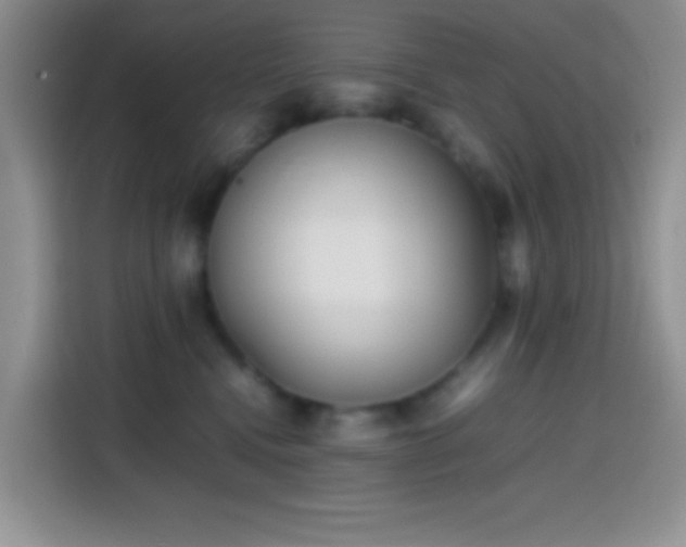 X0000113870472200910011116