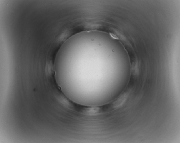 X0000113870474200910011116