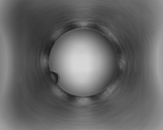 X0000113870476200910011116