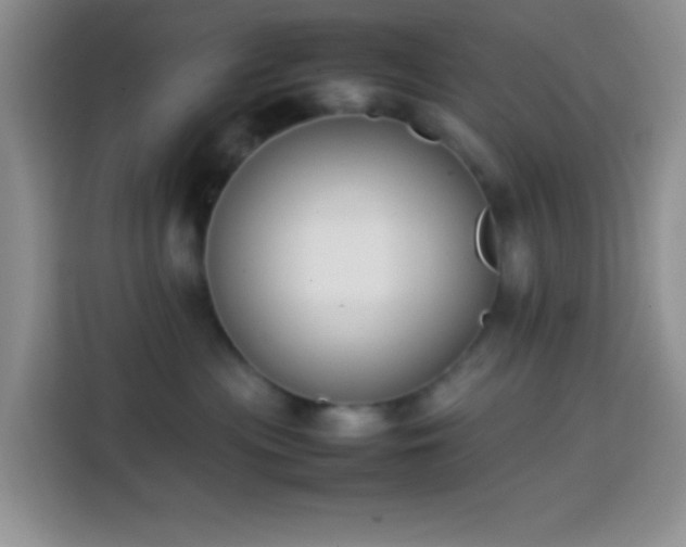 X0000113870477200910011116