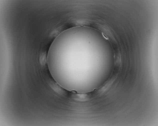 X0000113870478200910011116