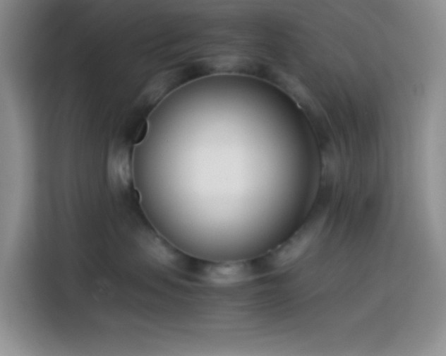 X0000113870479200910011116