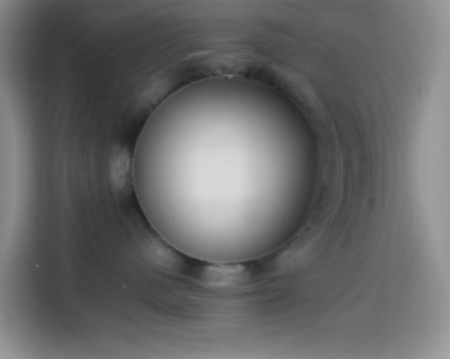 X0000113870480200910011116