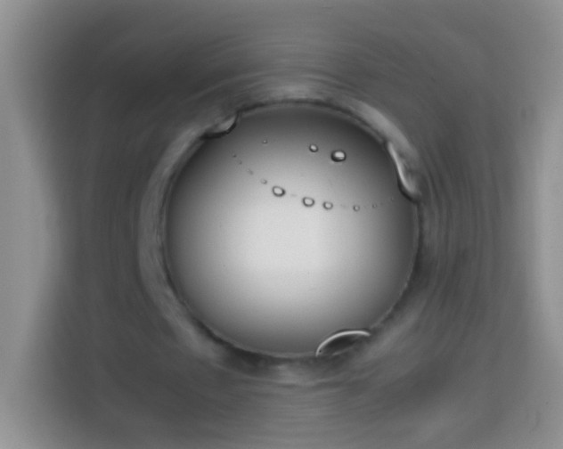 X0000113870481200910011115