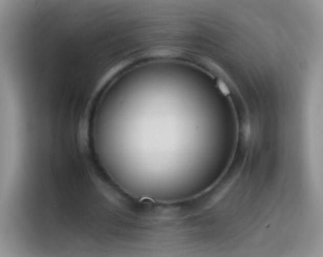 X0000113870484200910011115