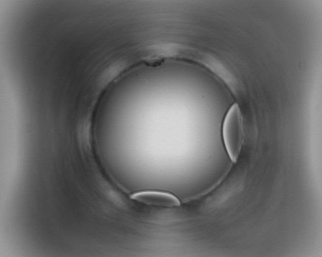 X0000113870485200910011115