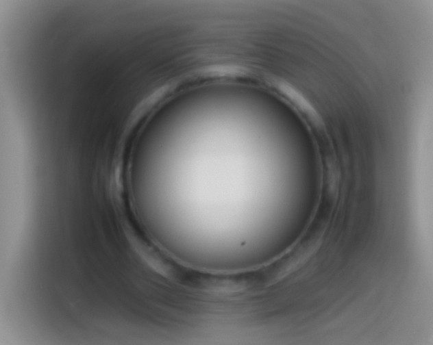 X0000113870486200910011115