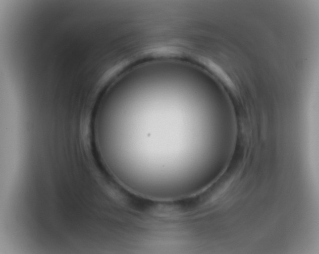 X0000113870487200910011115