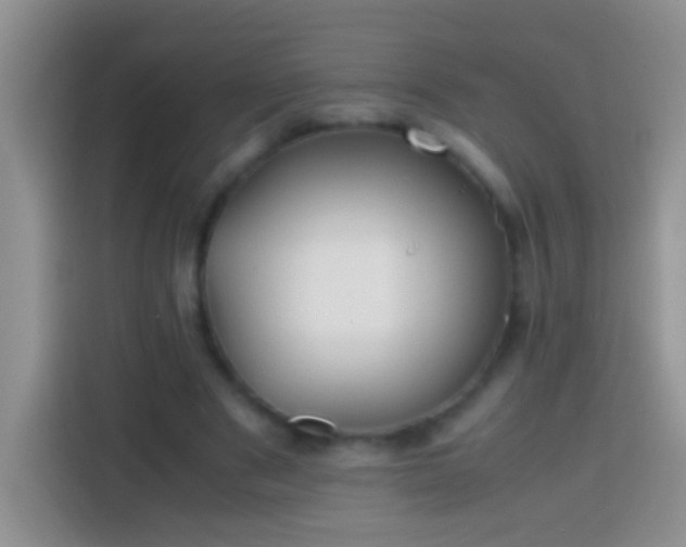 X0000113870489200910011115