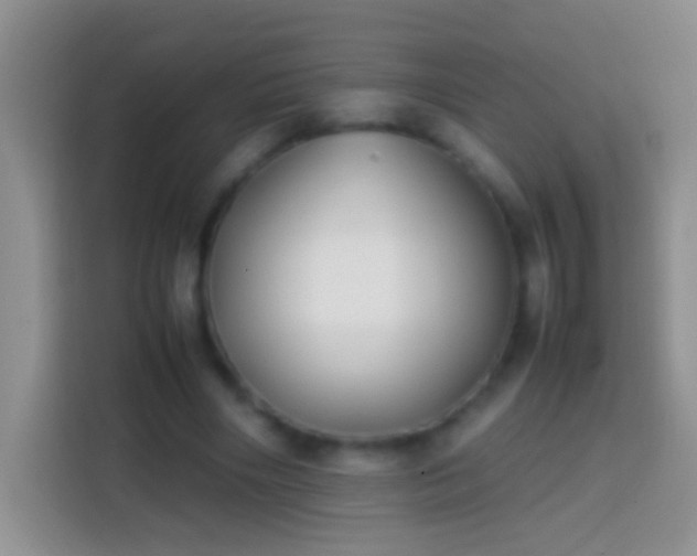 X0000113870490200910011115