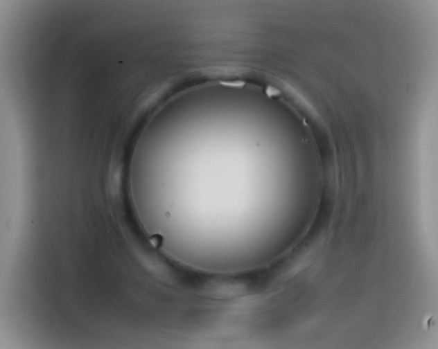 X0000113870491200910011115