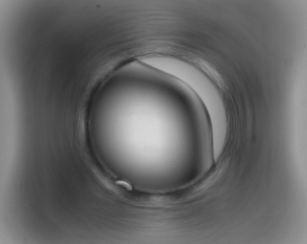 X0000113870493200910011115