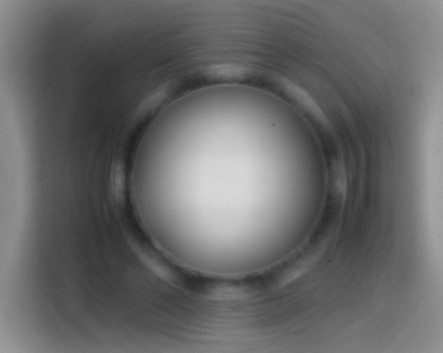 X0000113870494200910011115