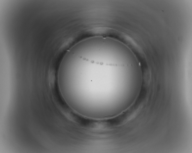 X0000113870495200910011115