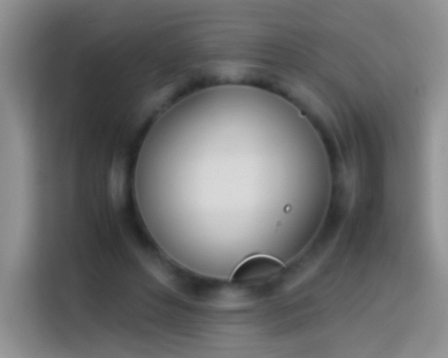 X0000113870496200910011115