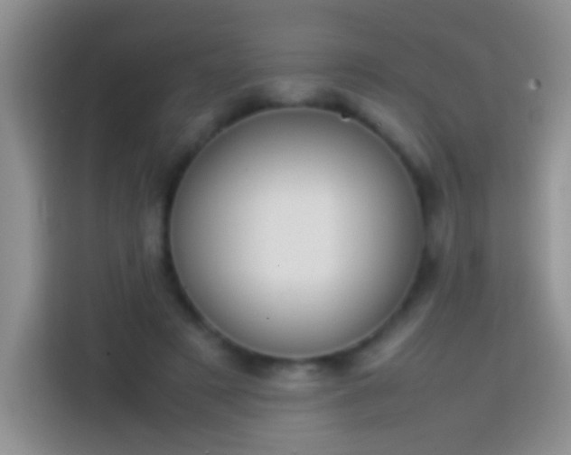 X0000113870497200910011115