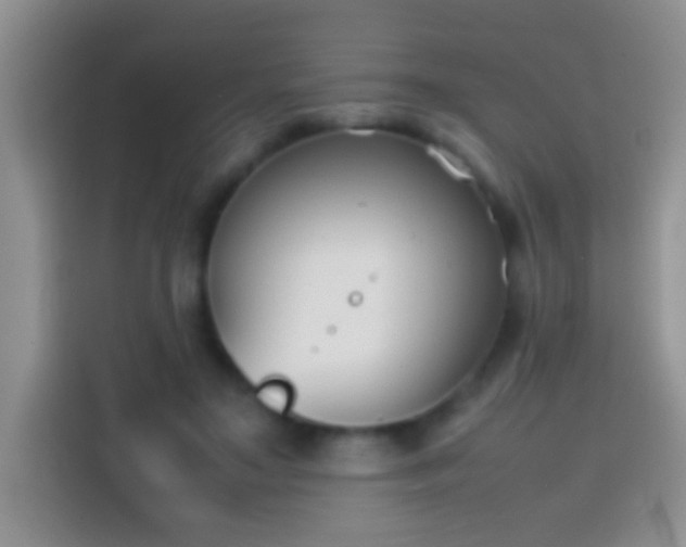 X0000113870499200910011115