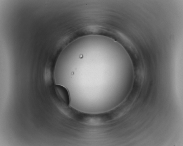 X0000113870500200910011115