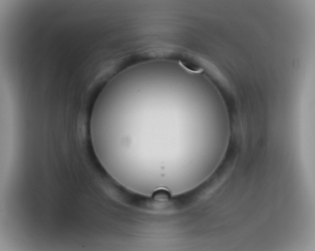 X0000113870501200910011115